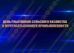 День работников сельского хозяйства и перерабатывающей промышленности (прямая трансляция)
