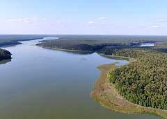 Nature reserve “Lakes”: in the tracks of a mighty aurochs and an orchid at the Holy swamp