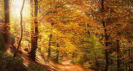 Местами туман, преимущественно без осадков. Какой будет погода в Беларуси 9 ноября