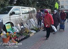 Саженцы, семена, удобрения: в Гродно проходит агровыставка