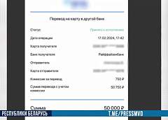 В Гродно задержан лжетрейдер