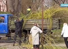 Сотрудники Гродненского горисполкома навели порядок в районе Швейцарской долины