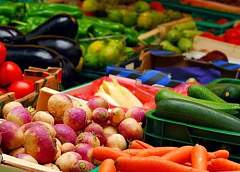 Отличать органическую продукцию от неорганической в Беларуси станет проще