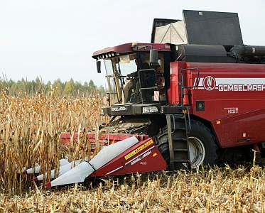 В Беларуси намолотили свыше 11 млн тонн зерна с учетом рапса и кукурузы