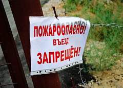 Запрет на посещение лесов в Гродненской области продлен
