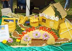  A selfie with an astronaut, a master class from an expert of Belarusian cuisine and more than 80 varieties of cheese: the 6th open festival of cheese was held in Grodno   