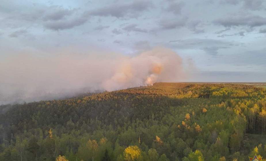 Лесной пожар в Вороновском районе ликвидирован Лесной пожар в Вороновском районе ликвидирован