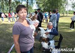 Лабрадоры, пудели, овчарки, пекинесы. Выставка собак прошла в Желудке 