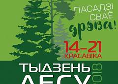 Расти большой! В Неделю леса на Гродненщине высадят порядка четырех миллионов деревьев