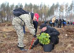 Возрождение леса: спасатели Гродненщины присоединились к акции «Дай лесу новае жыццё»!