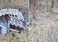 Экологическая обстановка под контролем. Как в Гродно борются со свалками и вредными выбросами