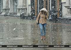 Метель ожидается ночью 10 ноября в Беларуси