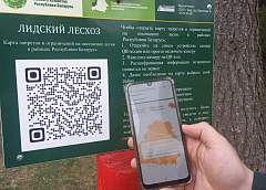 Таблички с QR-кодами быстро сориентируют граждан, можно ли посещать лес. Рассказываем, где они появились и кому принадлежит идея