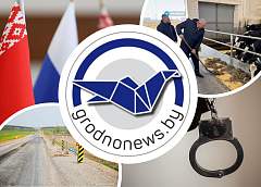 Единый день информирования и проверка сельских хозяйств на Гродненщине. Главное за 20 марта