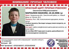 «За полдня прошел по лесу около десяти километров» – доброволец о поисках мальчика в Беловежской пуще