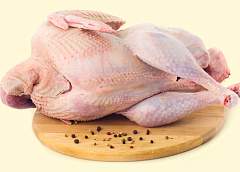В Лидском районе реализуется инвестпроект по производству продукции из мяса индейки