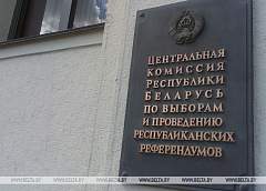 ЦИК аккредитовал 60 наблюдателей от СНГ для мониторинга выборов в парламент