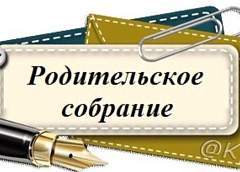 Виртуальный диалог: на Гродненщине прошло родительское собрание в Сети