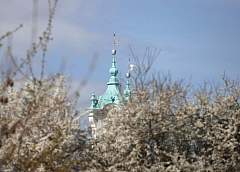 Без осадков и до +18°С. Какой будет погода 30 марта