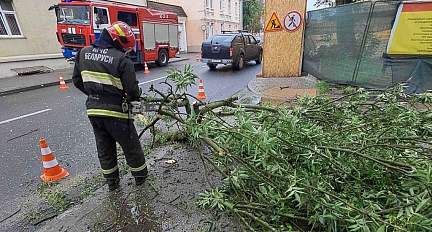 Сильный ветер повалил деревья в регионе. Спасатели устраняли последствия