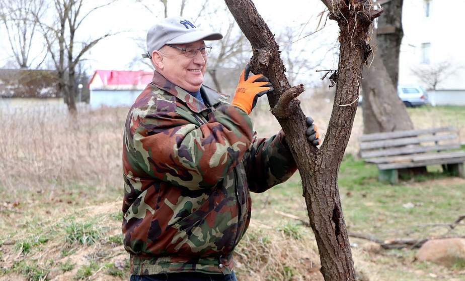 Благоустроенные памятники и новые аллеи. Жители Гродненской области присоединились к республиканскому субботнику Благоустроенные памятники и новые аллеи. Жители Гродненской области присоединились к республиканскому субботнику