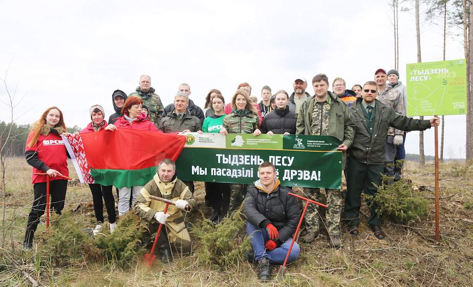 В Гродненской области стартовала акция «Неделя леса»
