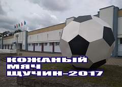 В Щучине подвели итоги областных соревнований «Кожаный мяч»