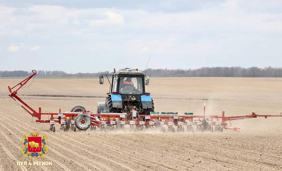 Юрий Валеватый: "В Гродненской области посеяли первую тысячу гектаров сахарной свеклы"