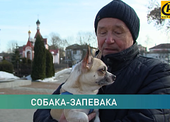 В Гродно живёт уникальный пёс, который заводит песню, как только слышит звон колоколов (+видео)