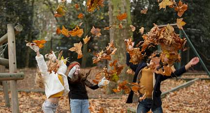 Кратковременные дожди и свыше +10°С. Какой будет погода в Беларуси 30 октября