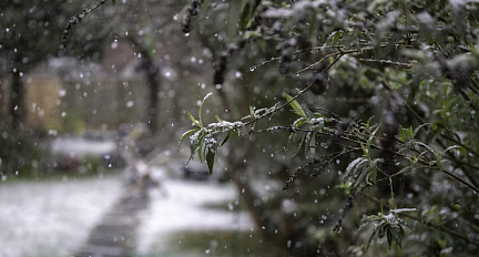 Дождь, в отдельных районах туман. Какой будет погода в Беларуси 4 декабря