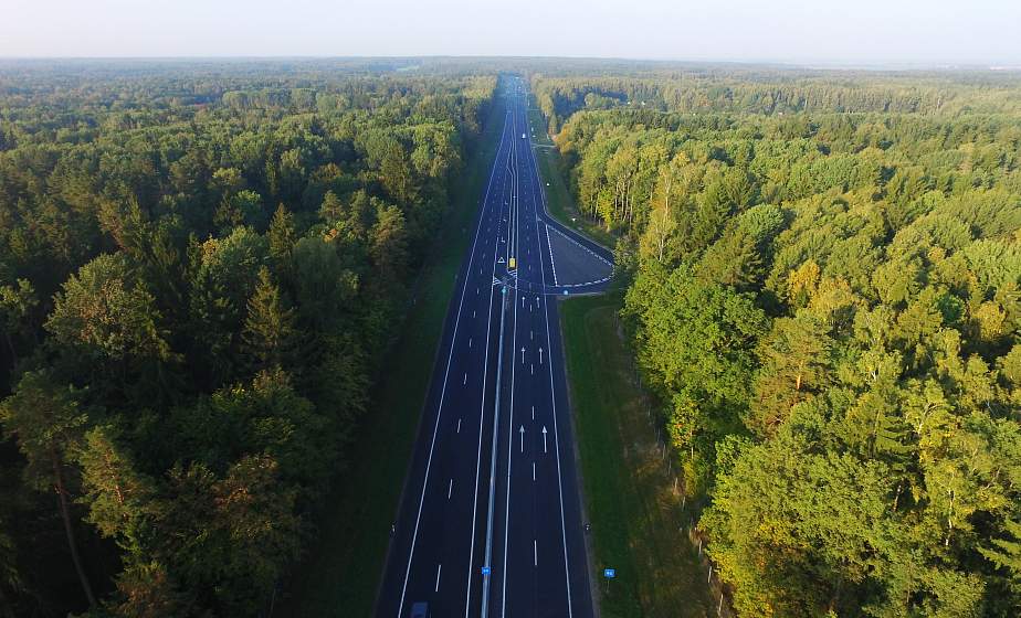 Ограничения на посещение лесов введены в 11 районах Беларуси