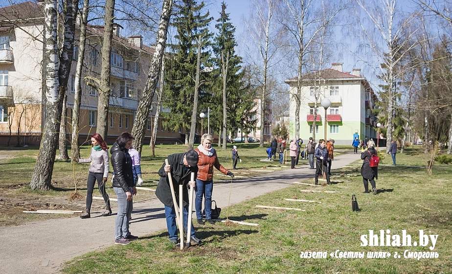 В Сморгони в честь Дня Победы высадили 75 саженцев ивы В Сморгони в честь Дня Победы высадили 75 саженцев ивы