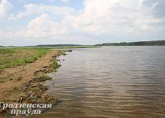 Причины мора рыбы в акватории Гродненского водохранилища выясняют экологи и ветеринары