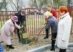 В средней школе № 8 города Гродно посадили Дерево мира