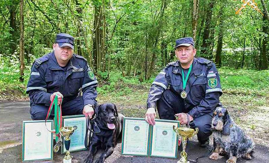 Гродненские кинологи завоевали серебро на республиканском чемпионате Гродненские кинологи завоевали серебро на республиканском чемпионате