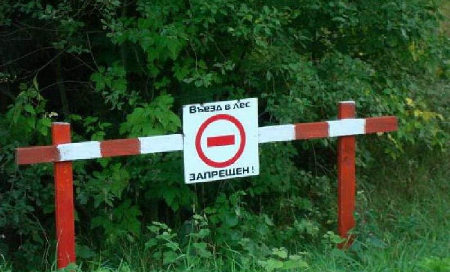 С понедельника в области введен временный запрет на посещение лесов (ОБНОВЛЕНО) С понедельника в области введен временный запрет на посещение лесов (ОБНОВЛЕНО)