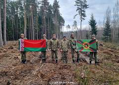 Гродненские пограничники присоединились к республиканской акции «Дай лесу новае жыцце»