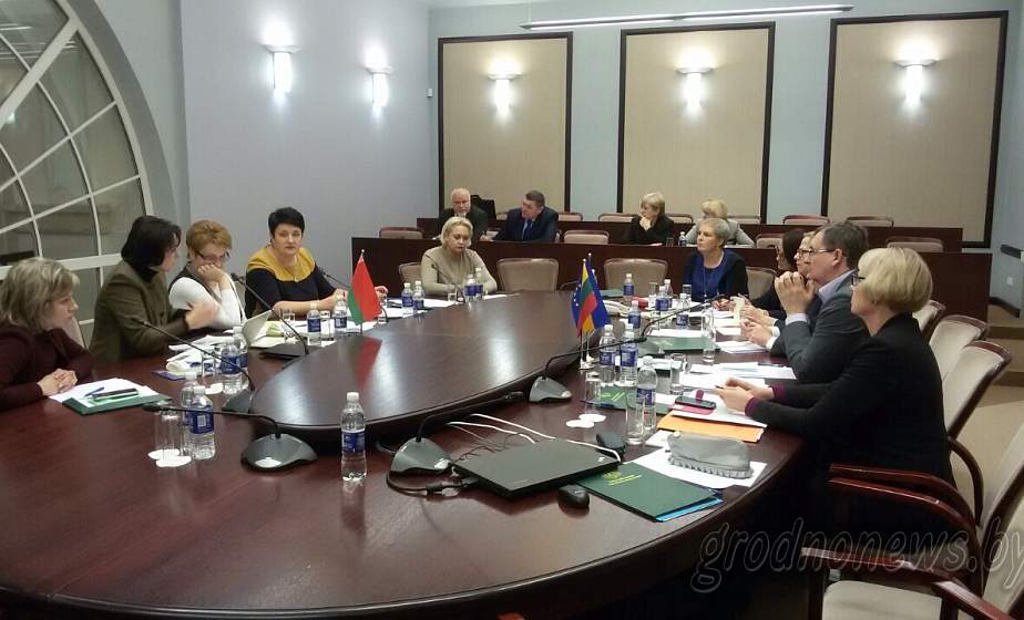На заседание белорусско-литовской консультационной комиссии рассмотрены вопросы сферы образования