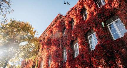 Облачно и без существенных осадков. Какая погода будет в Беларуси 2 ноября
