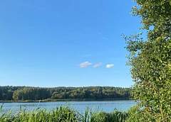 До +28°С прогнозируется в Беларуси 10 августа