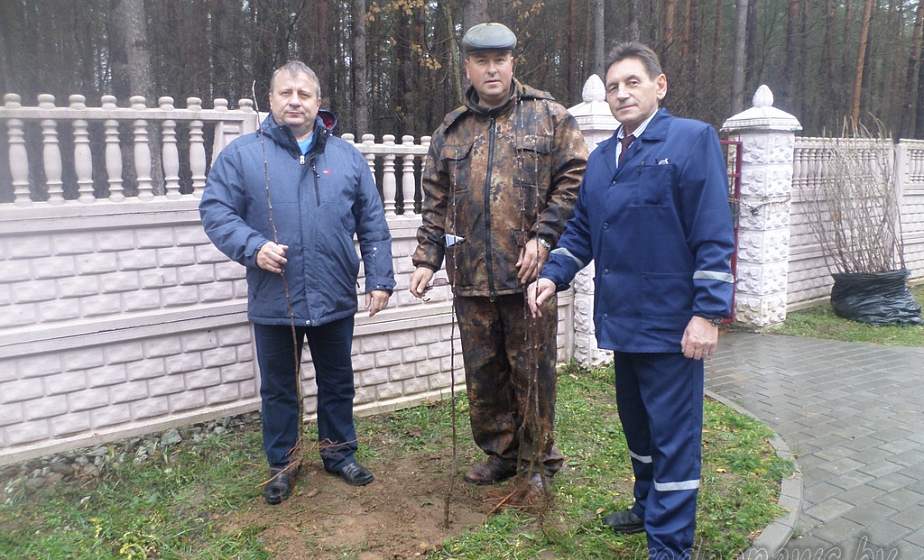 Сад Гродненского дома-интерната для престарелых и инвалидов пополнился новыми деревьями Сад Гродненского дома-интерната для престарелых и инвалидов пополнился новыми деревьями