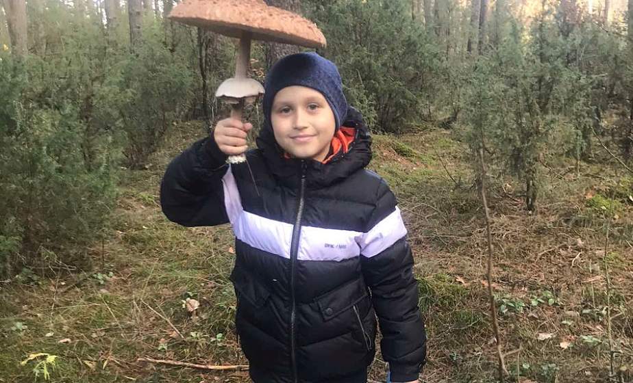 Школьнік з Ліды знайшоў грыб-«парасон», якім сапраўды можна ўкрыцца ад дажджу Школьнік з Ліды знайшоў грыб-«парасон», якім сапраўды можна ўкрыцца ад дажджу