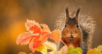 Облачно с прояснениями и до +12°С. Какой будет погода в Беларуси 6 ноября