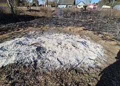 В Гродненской области зарегистрирован первый пожар, который привел к загоранию сухой растительности