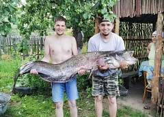 Slonim fisherman caught catfish in length of human height