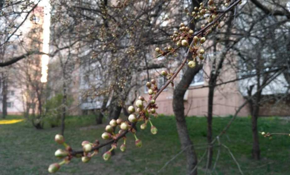 Тепла не будет. Погода на неделю с 26 апреля по 2 мая (+видео) Тепла не будет. Погода на неделю с 26 апреля по 2 мая (+видео)