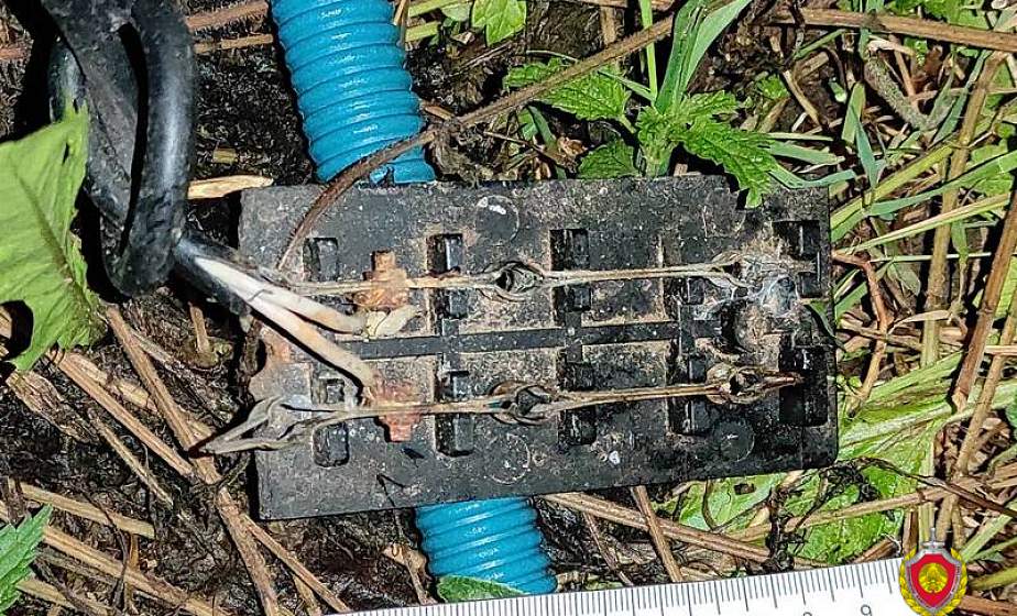 В Гродненском районе мужчина погиб от удара током
