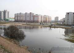 Будем пруд прудить?