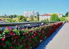Перила Старого моста в Гродно украсили живыми цветами